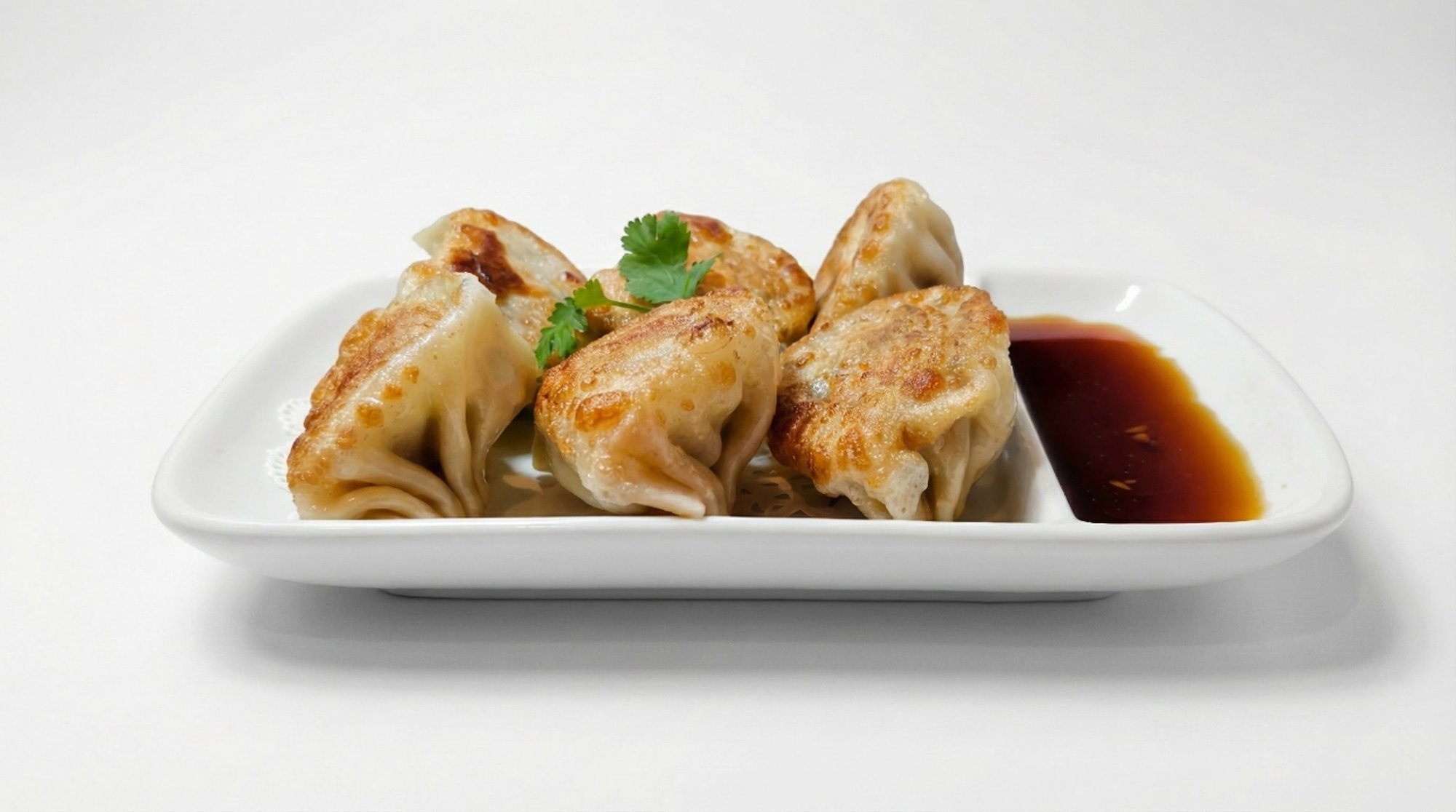 Pork & Cabbage Potstickers