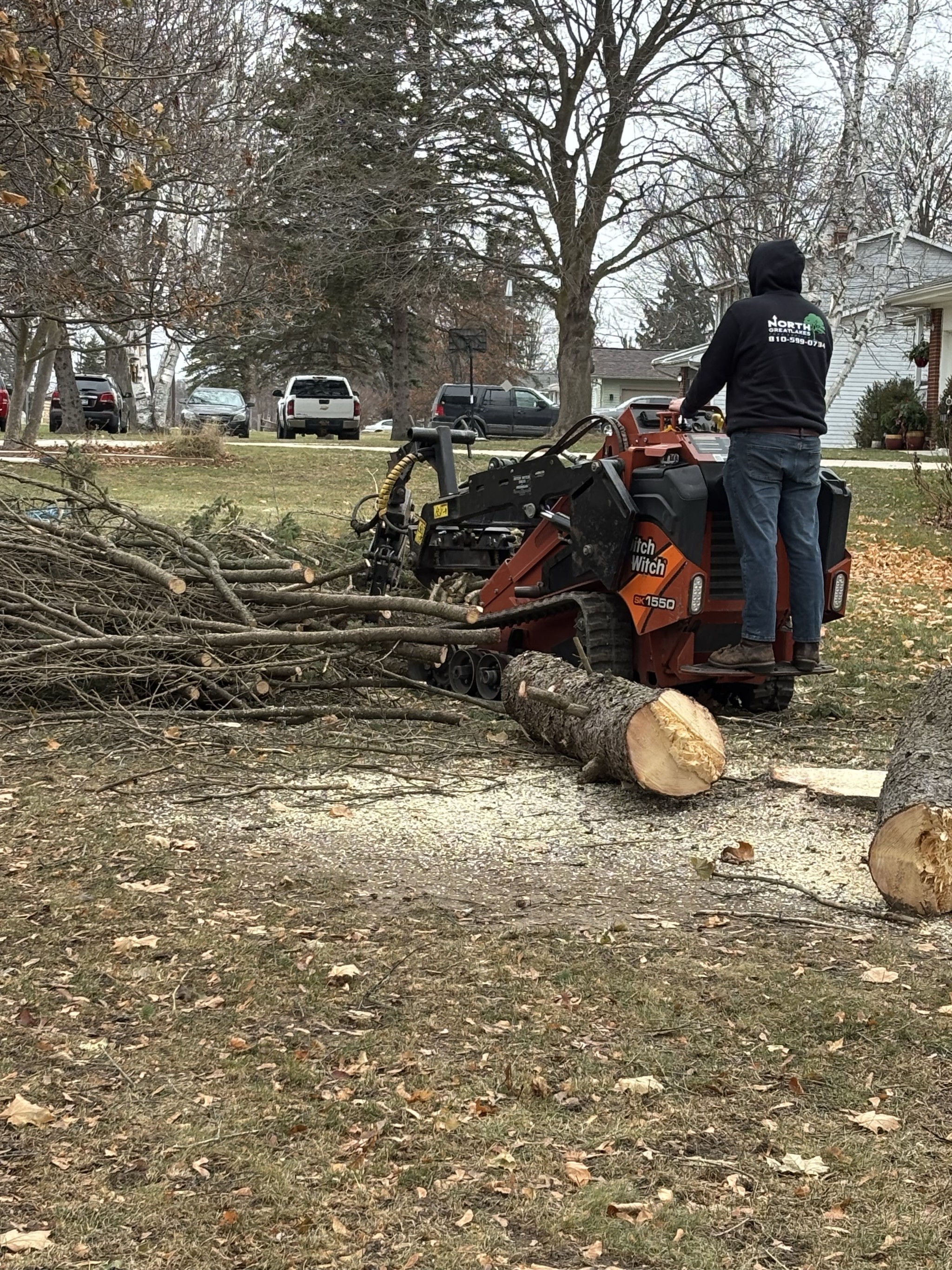 North Great Lakes Tree Service Image