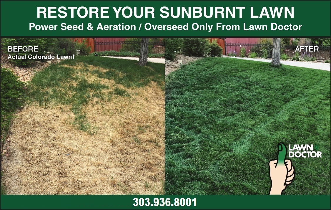 Lawn Doctor - Lakewood Logo