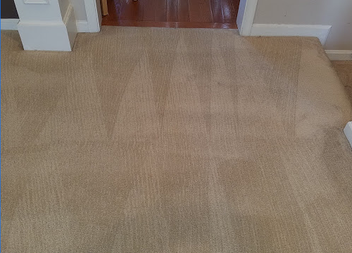 My Carpet Cleaning Service Photo