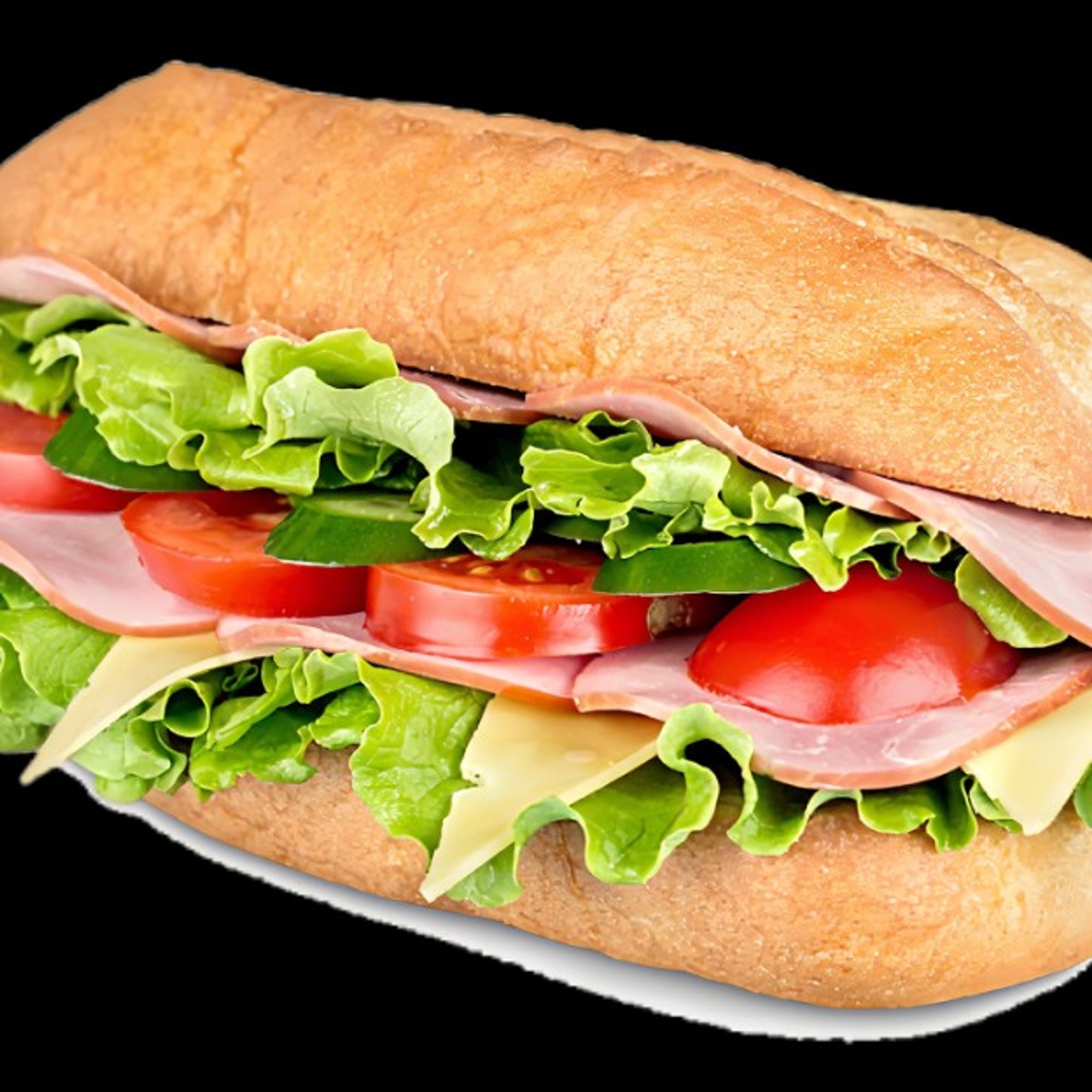 Turkey Sub