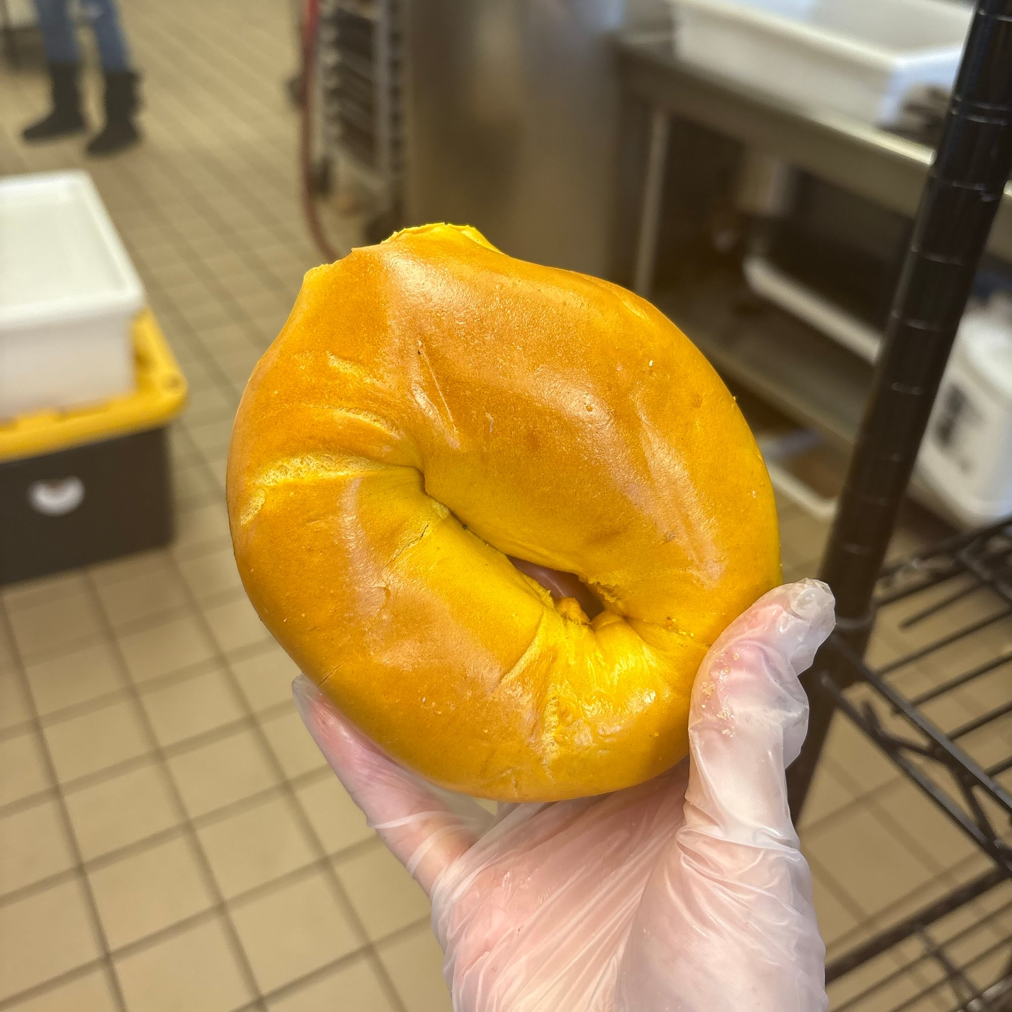 Egg Bagel
