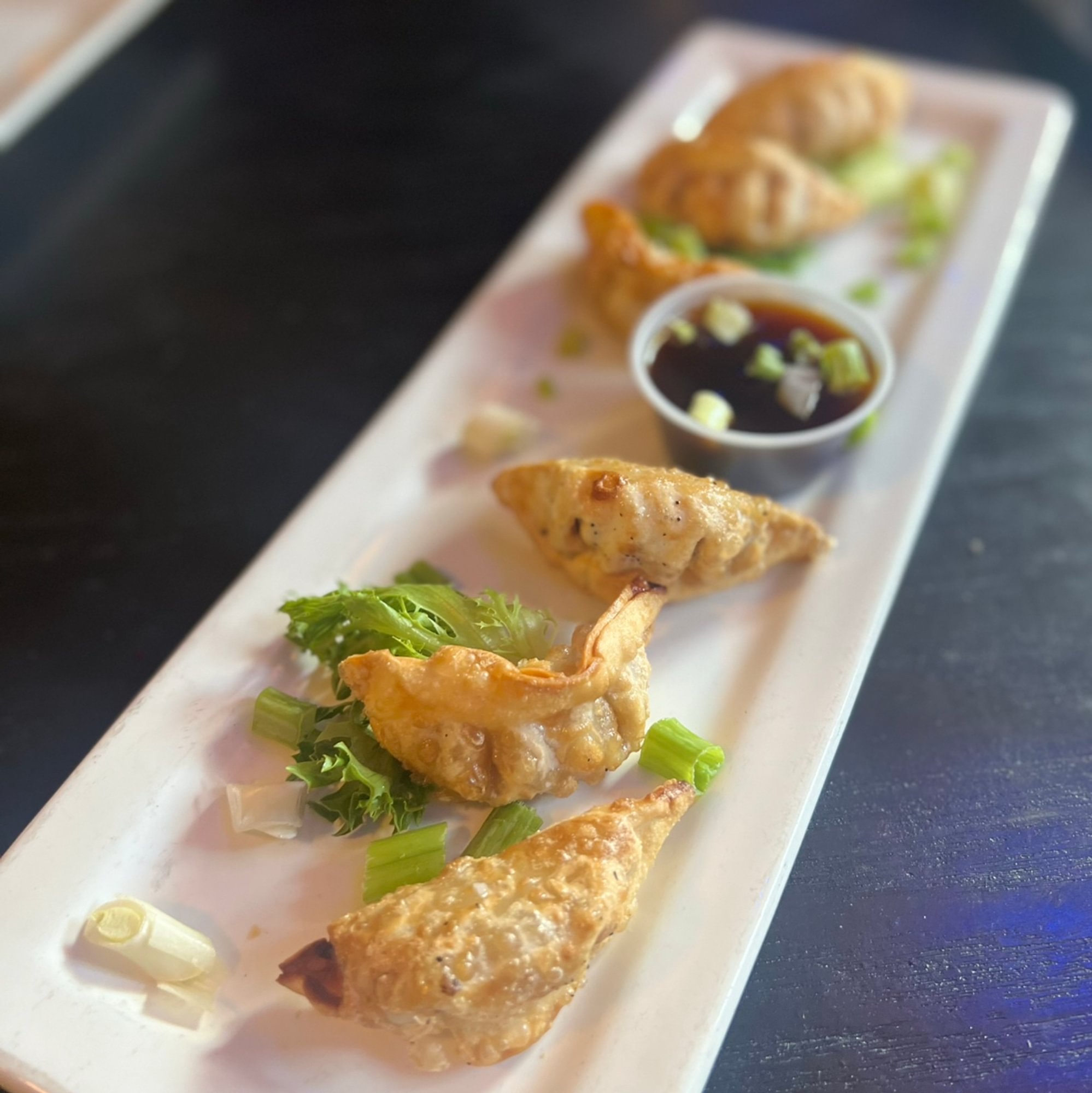 Chicken Teriyaki Dumplings (6)