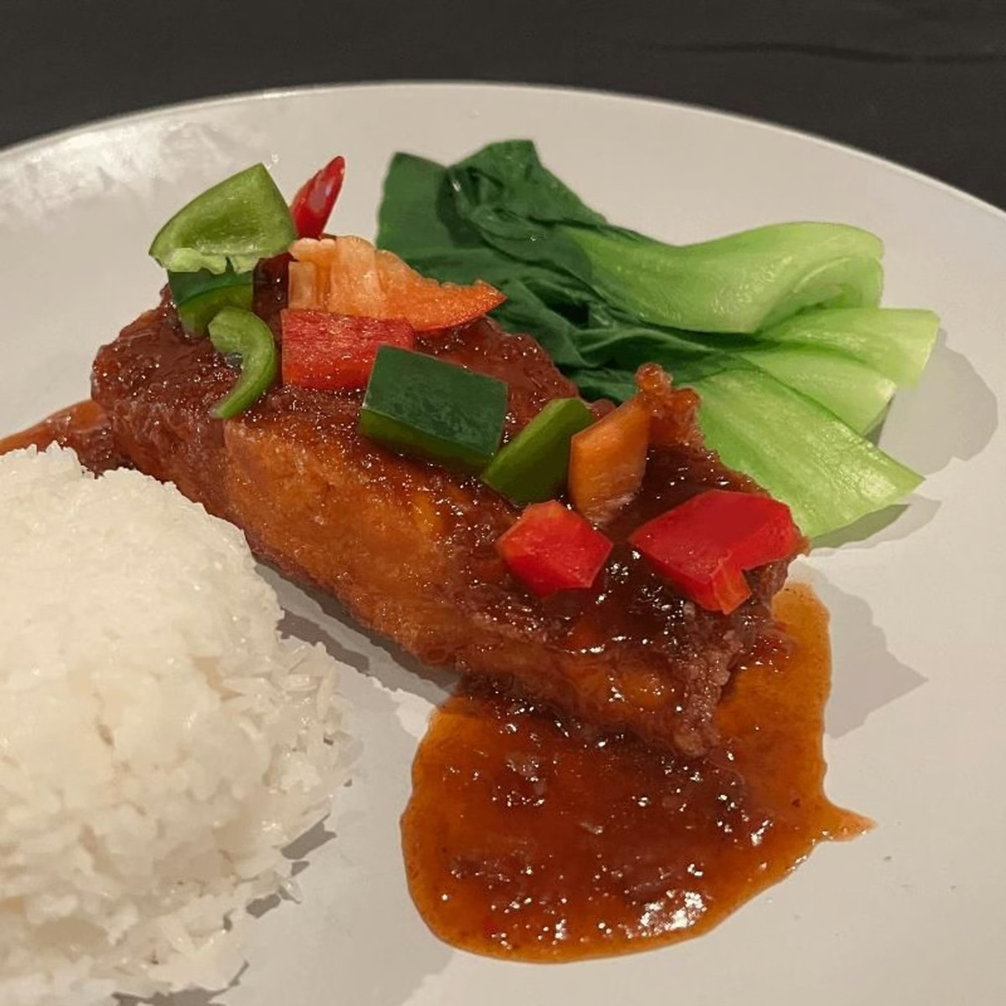 Salmon Sam Rod
