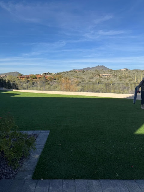 Waterloo Turf Scottsdale Image