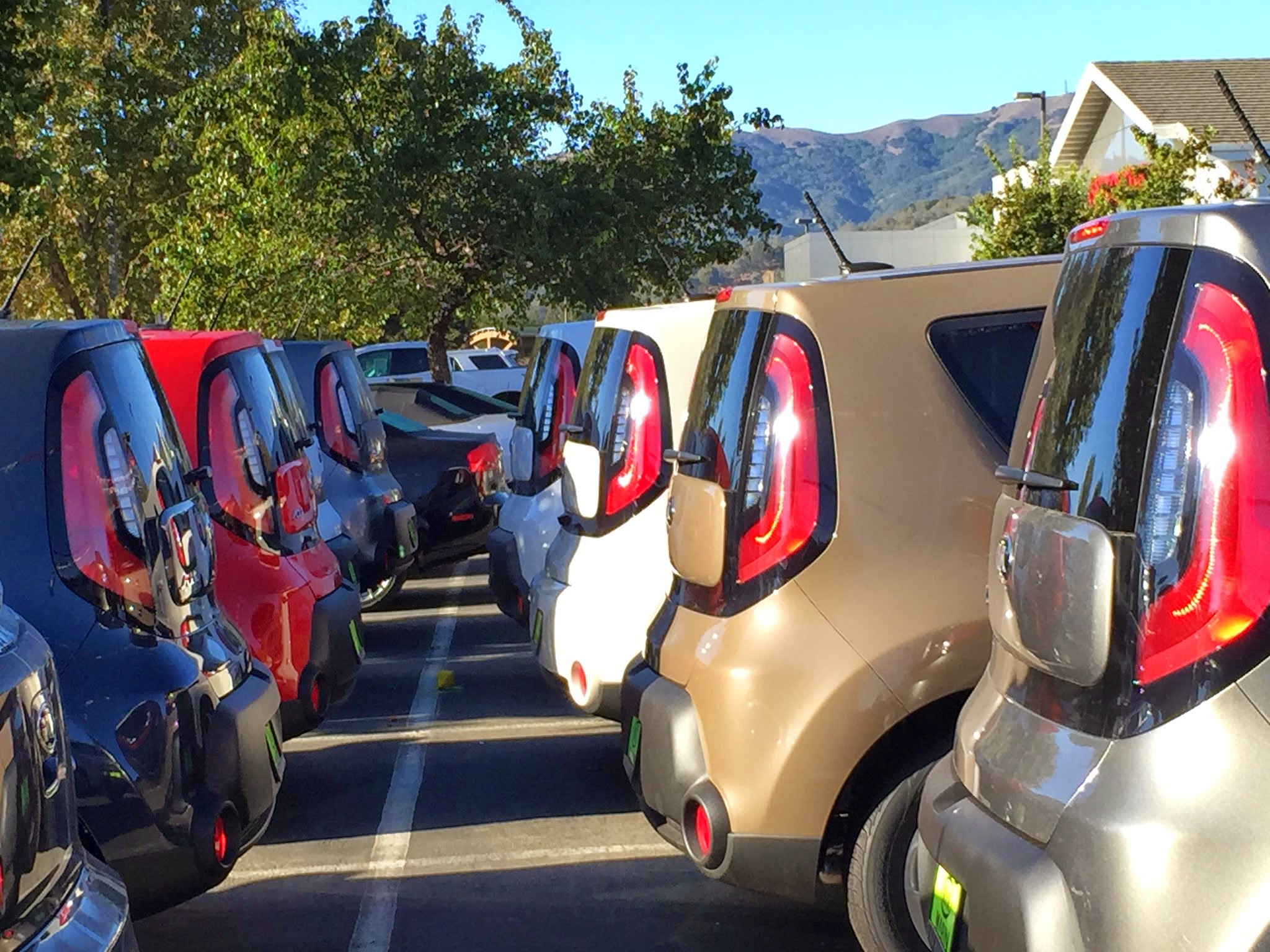 Kia of Marin Image