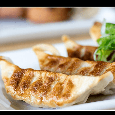 CHICKEN DUMPLINGS