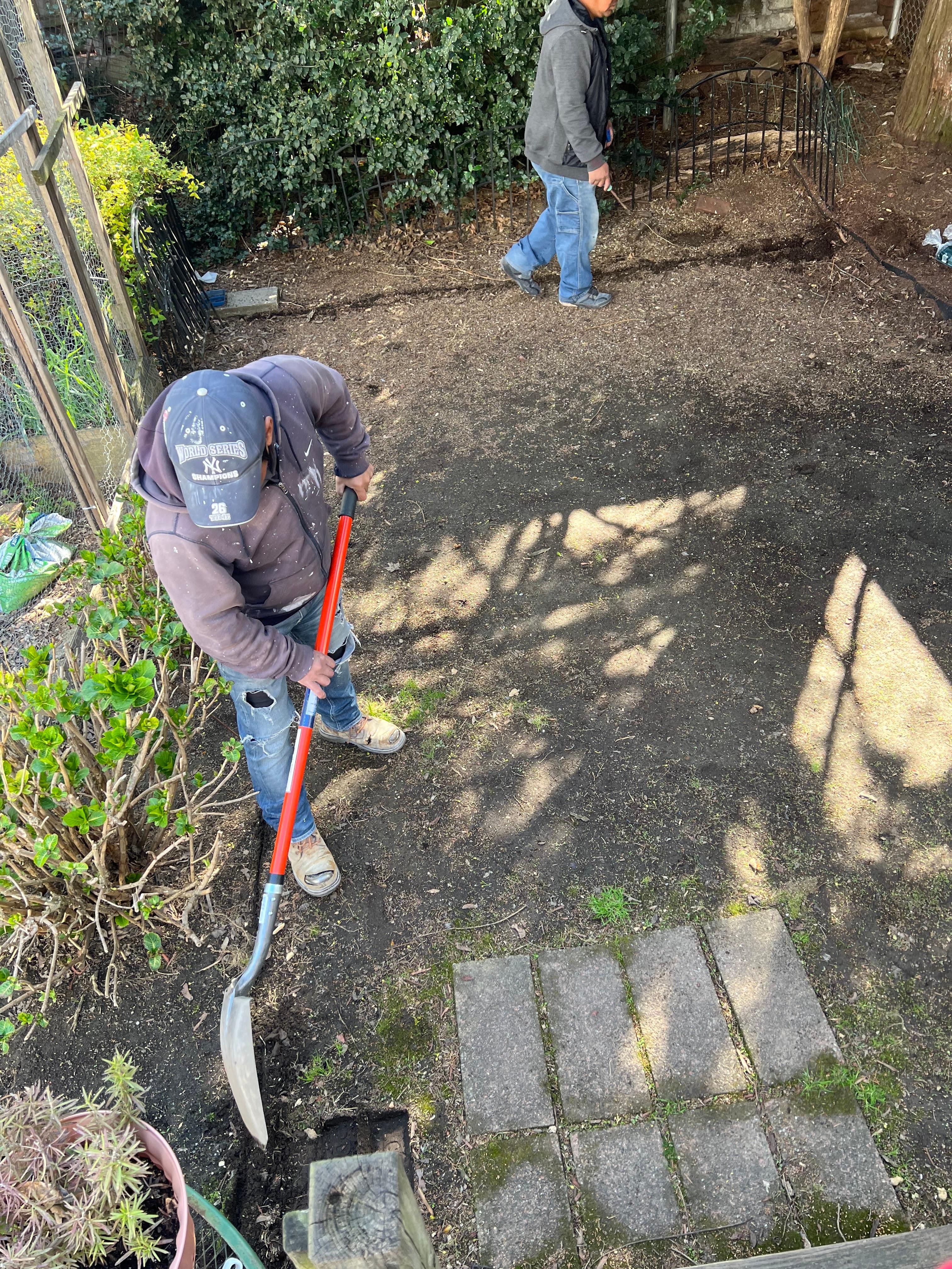 New York Brick Pointing Image
