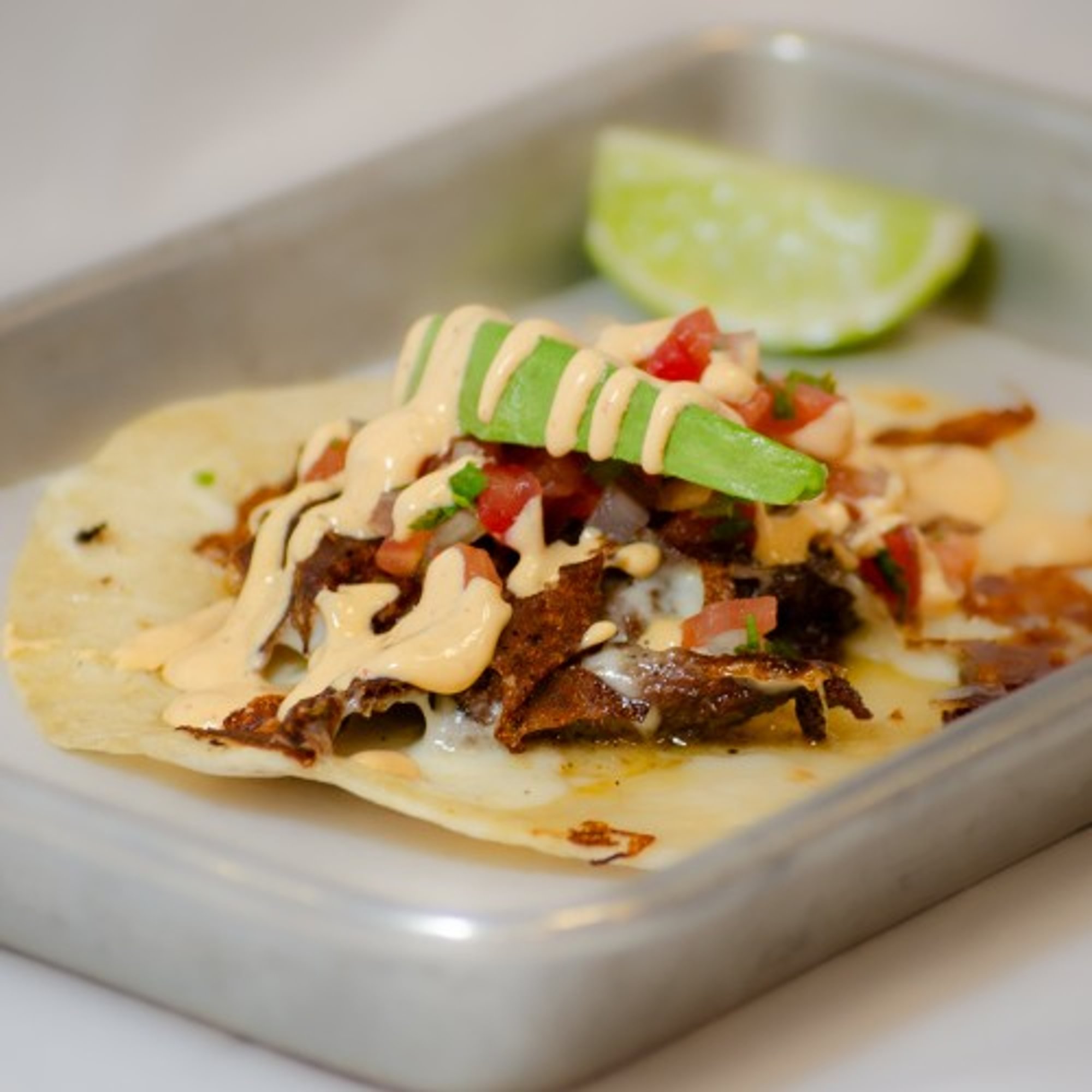 Bull Taco