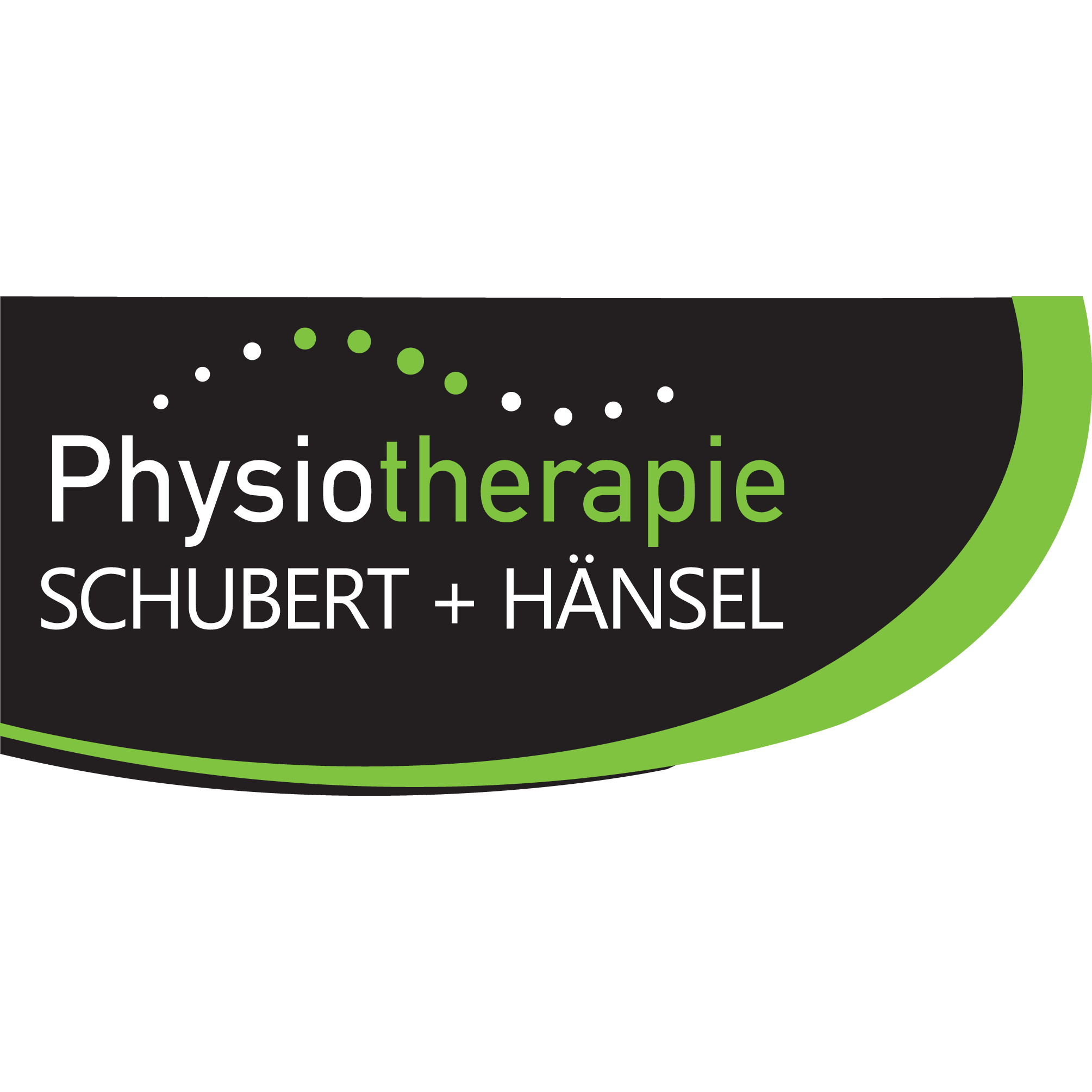 Logo von Schubert+ Hänsel