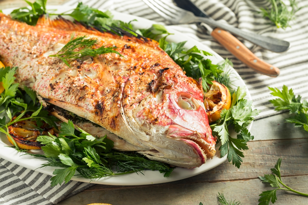 Grilled Red Snapper