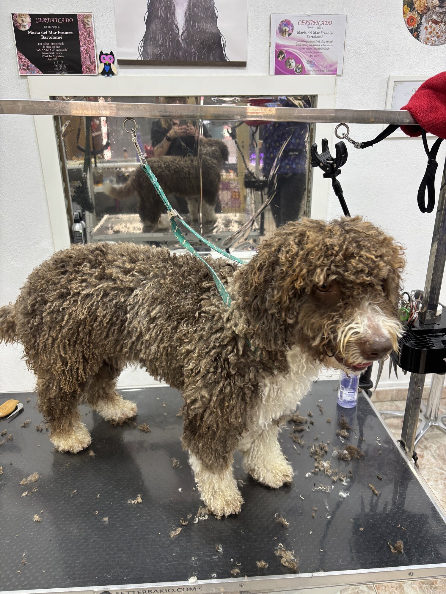 Galería en miniatura