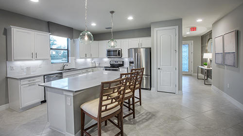 Hampton Lakes at River Hall by Pulte Homes Photo