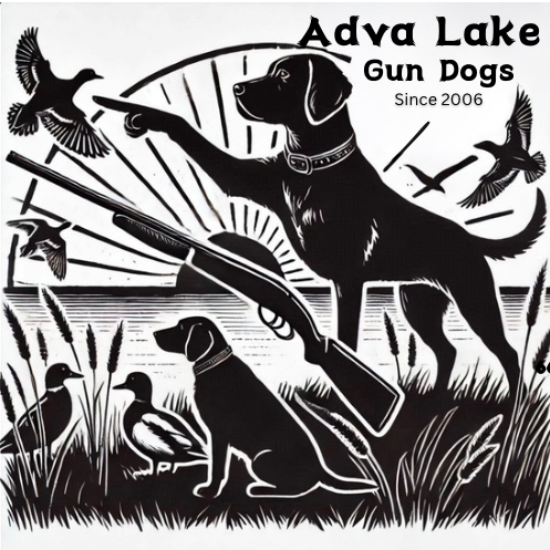 Advalakegundogs Logo