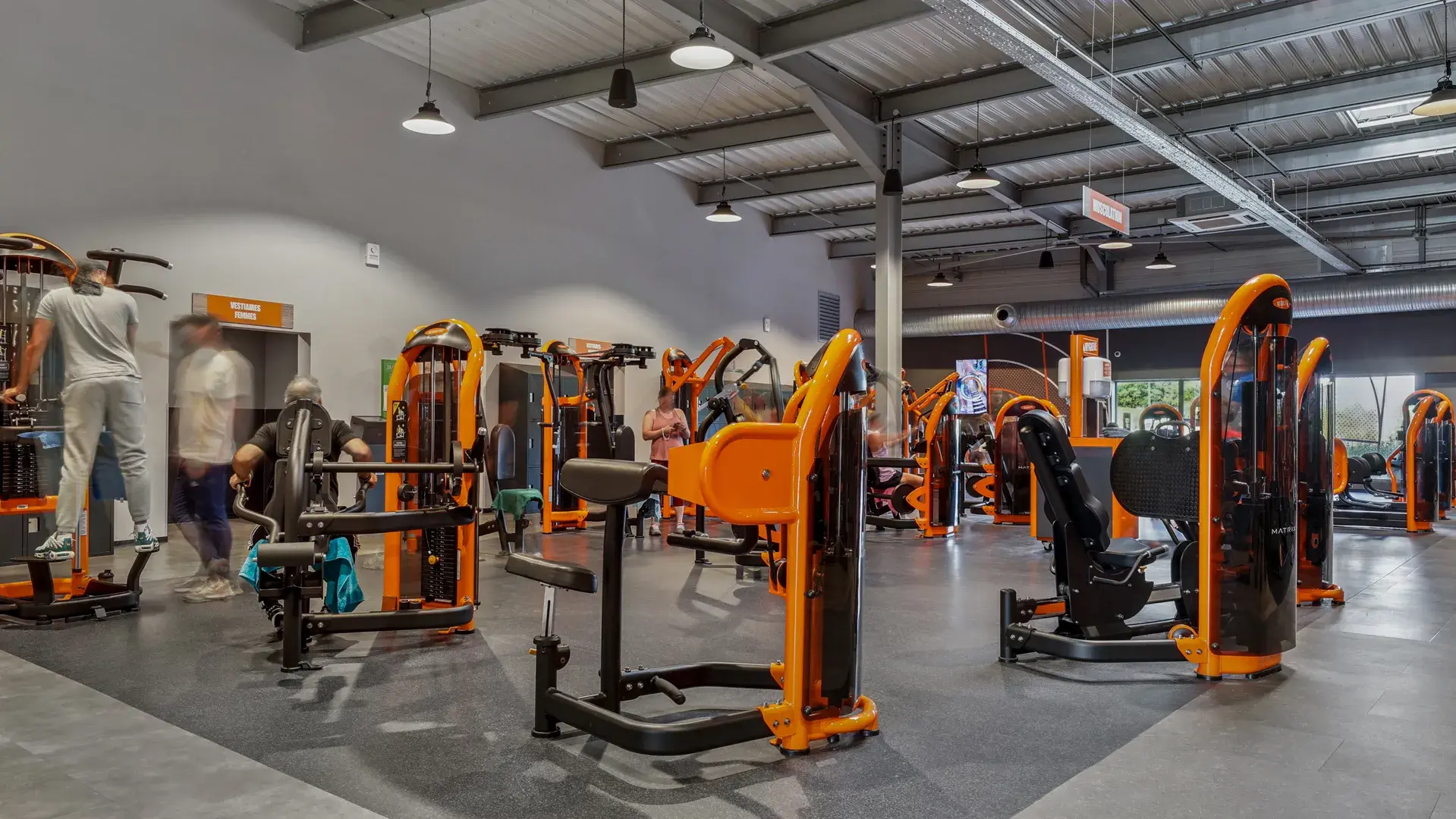 Miniature de la galerie