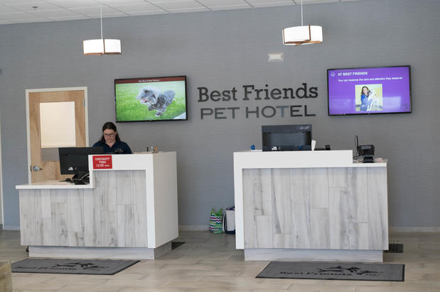 Images Best Friends Pet Hotel