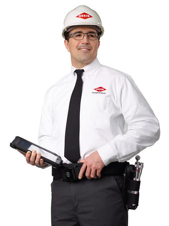 Images Orkin Pest & Termite Control