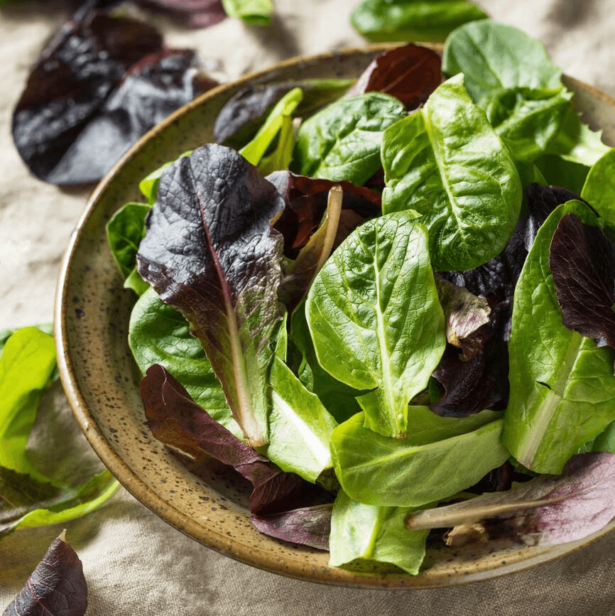 Baby Organic Greens Salad