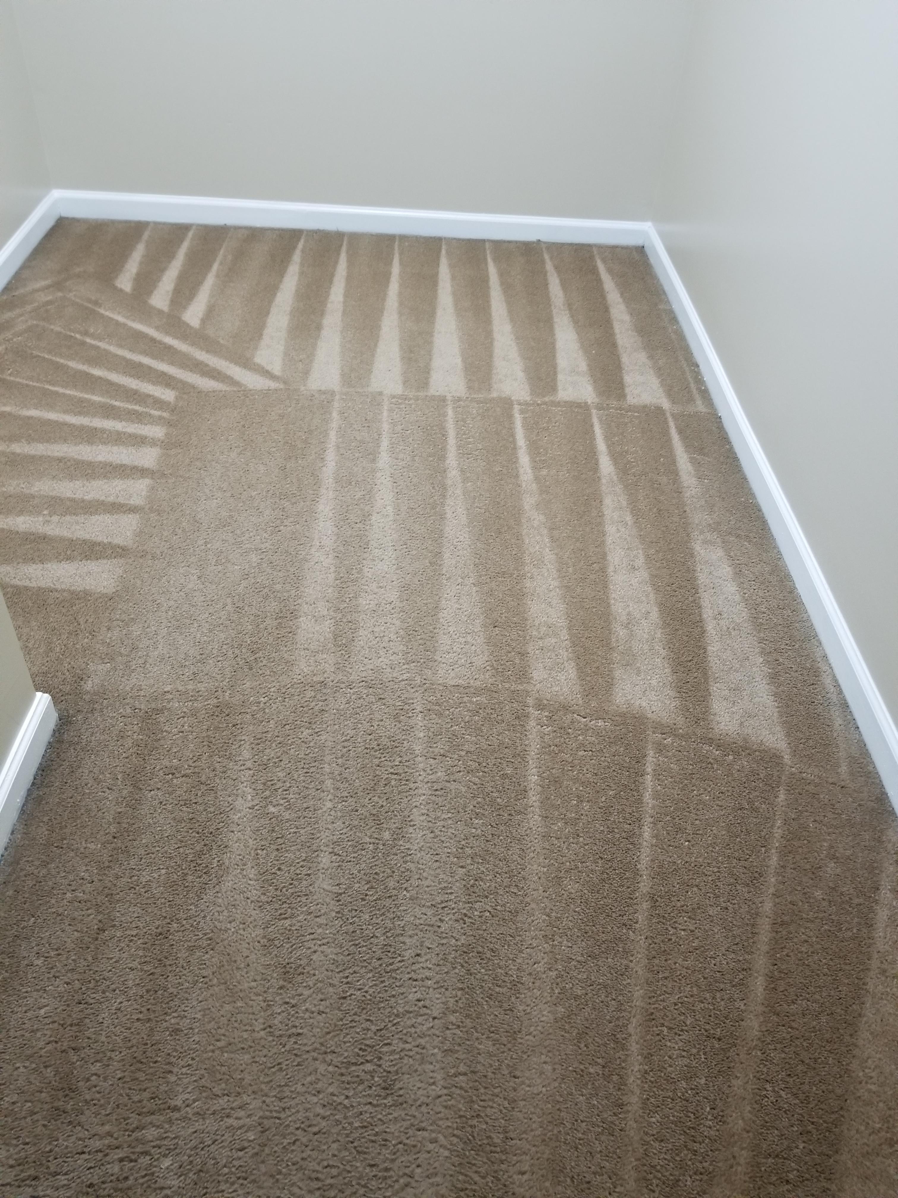 Spotless Clean & Carpet Care Photo