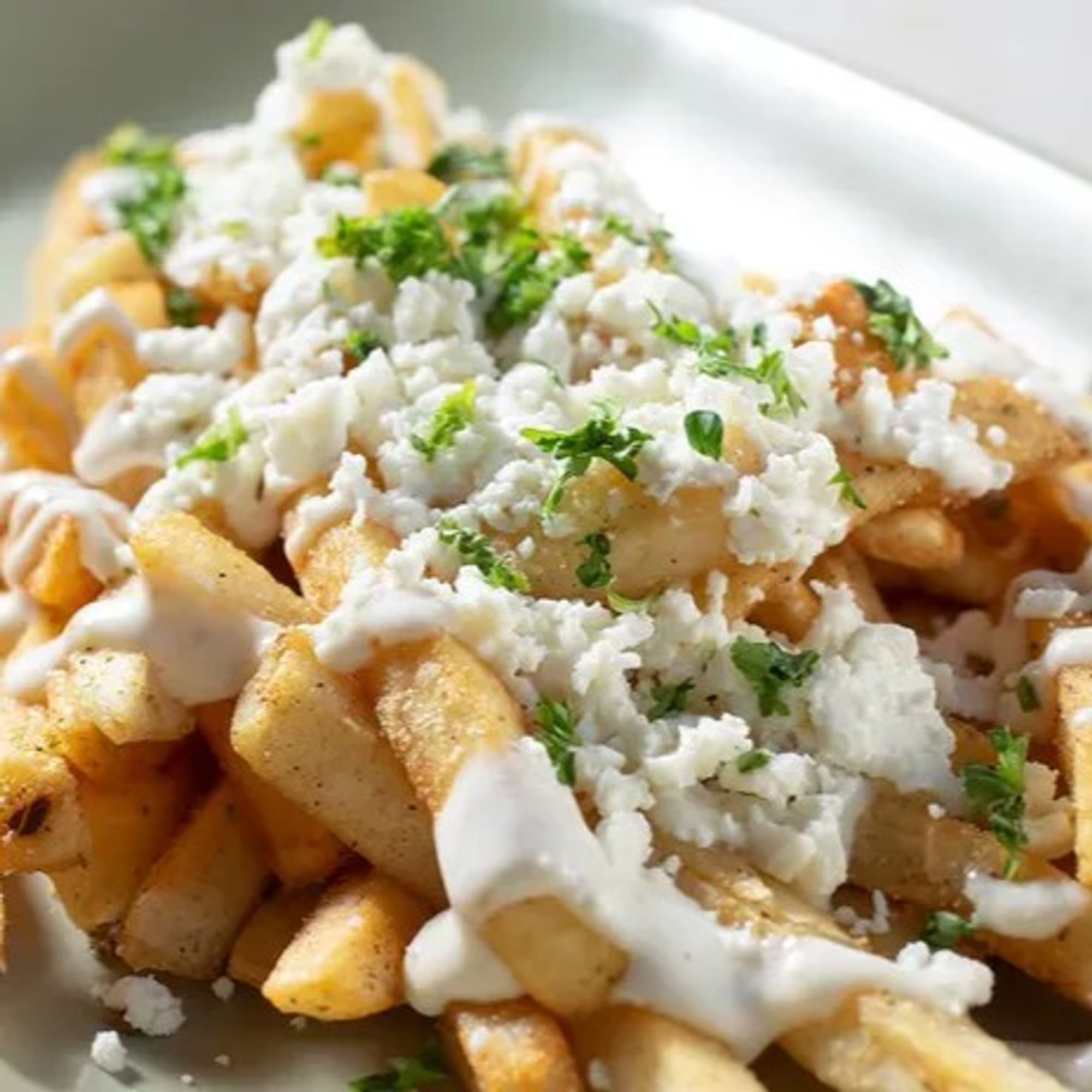 Cheesy Garlic Fries
