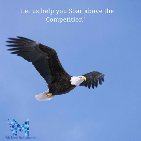 Soar Above the Rest Soar Above the Rest