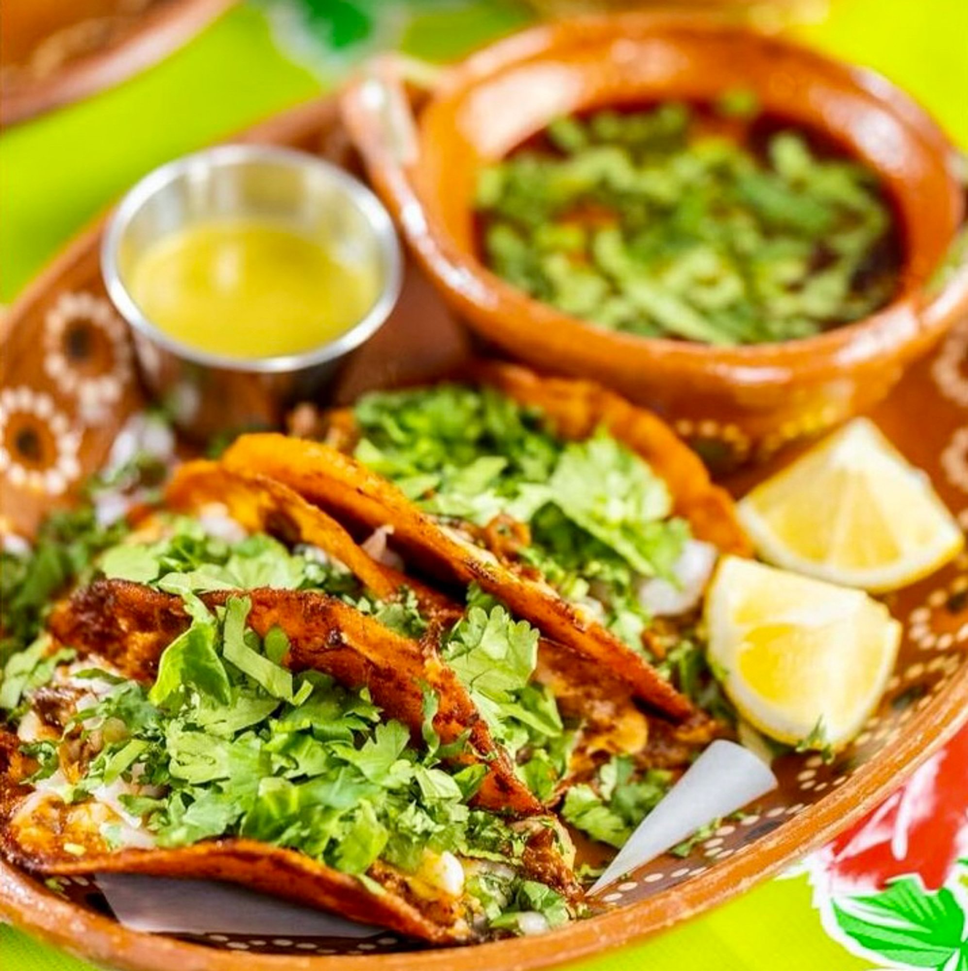 Birria Estilo Jalisco / Platillo de Birria
