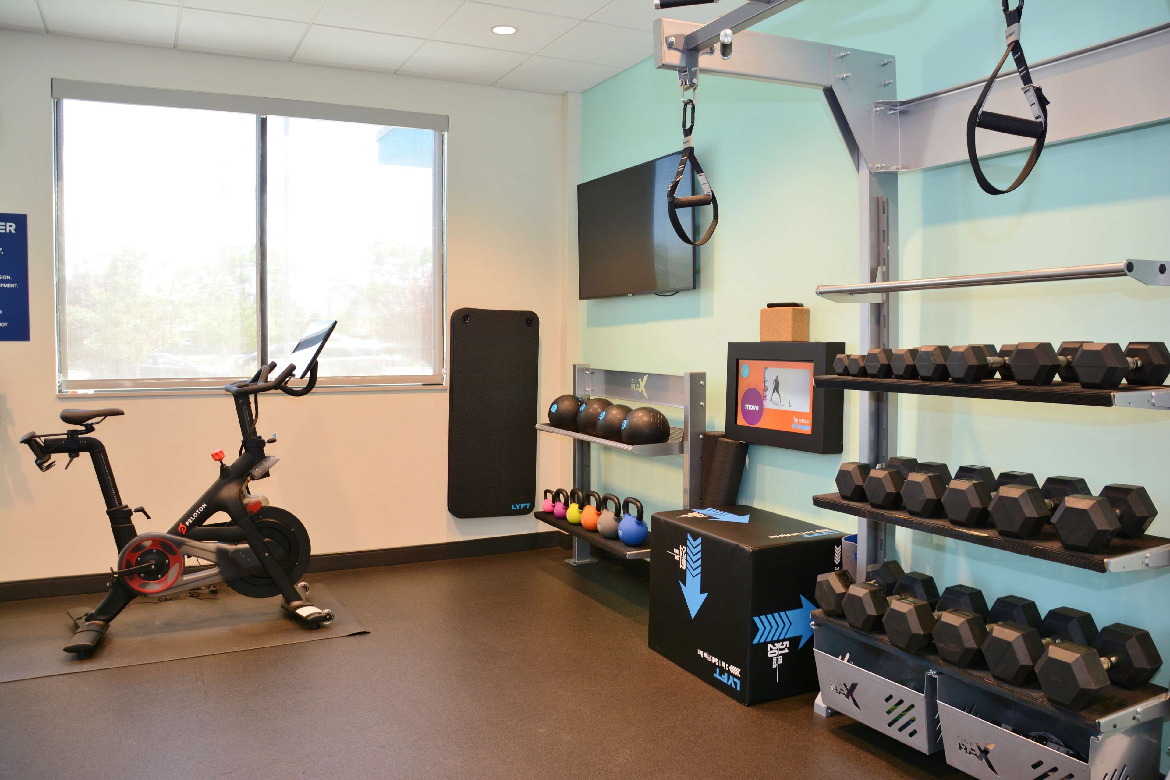 Health club  fitness center  gym