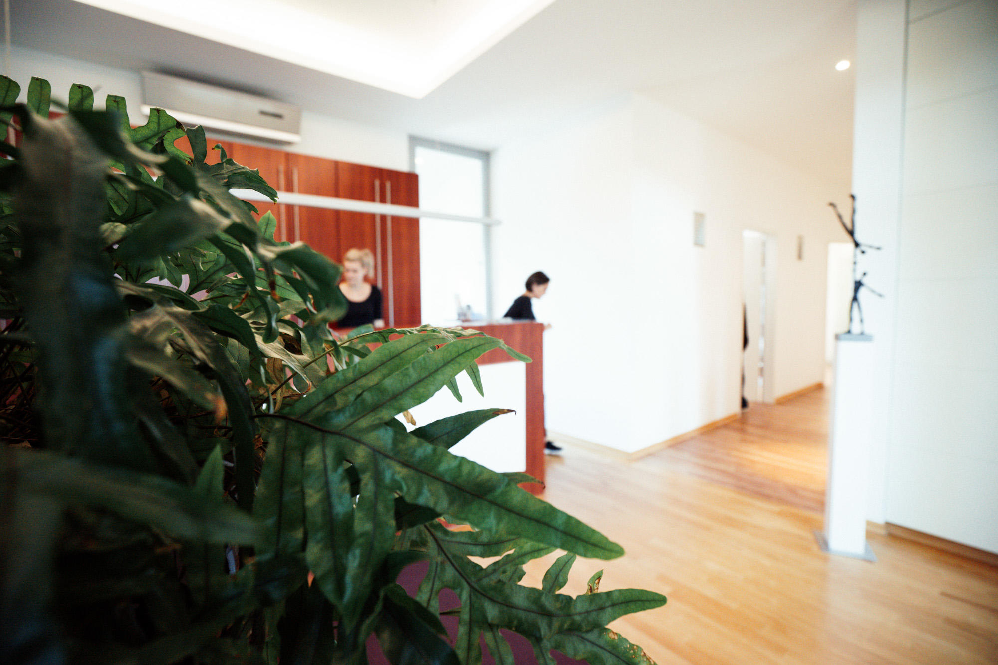 Bilder ICE AESTHETIC - Zentrum Kryolipolyse Bergisch Gladbach