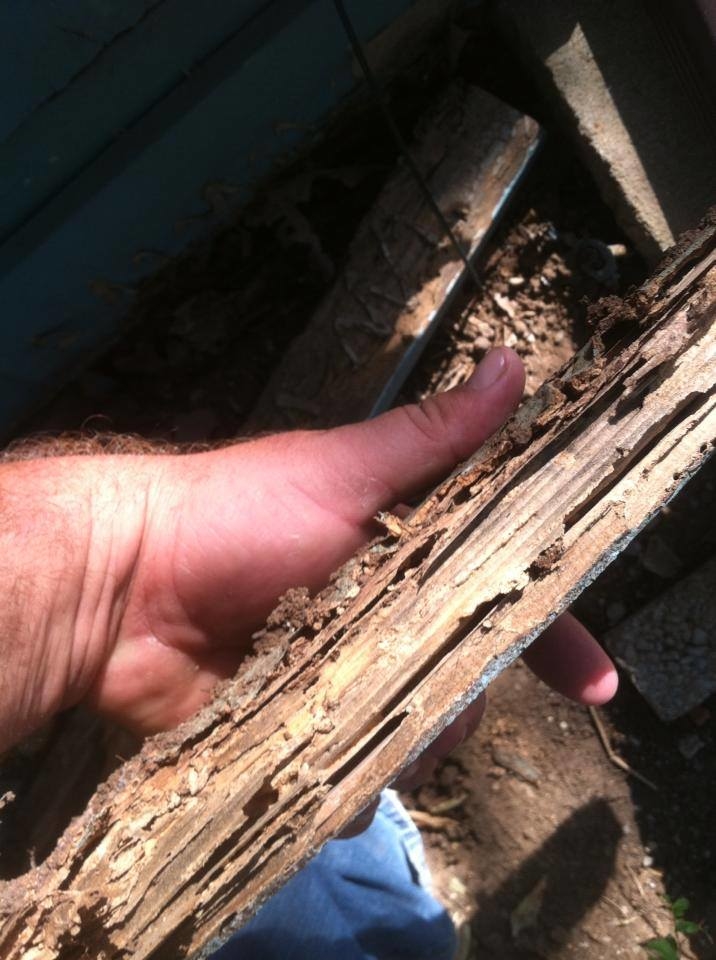 Territory Termite & Pest Control Image