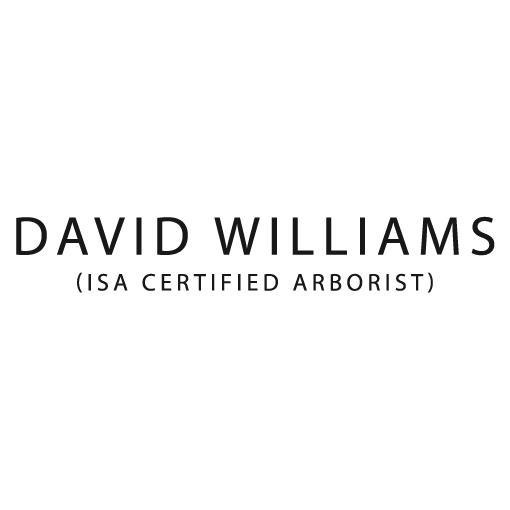 David Williams (ISA Certified Arborist) Logo