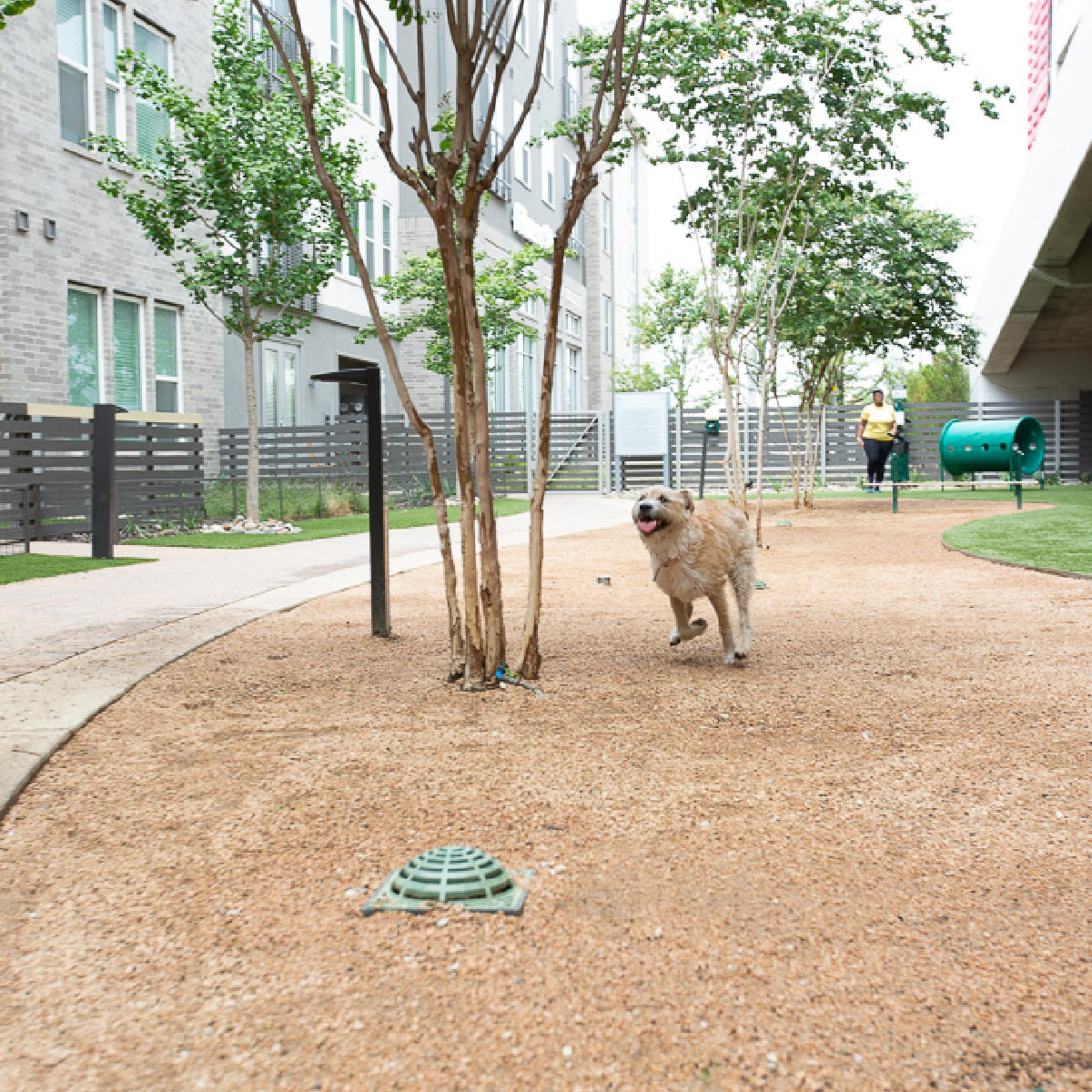 Cypress at Trinity Groves Photo