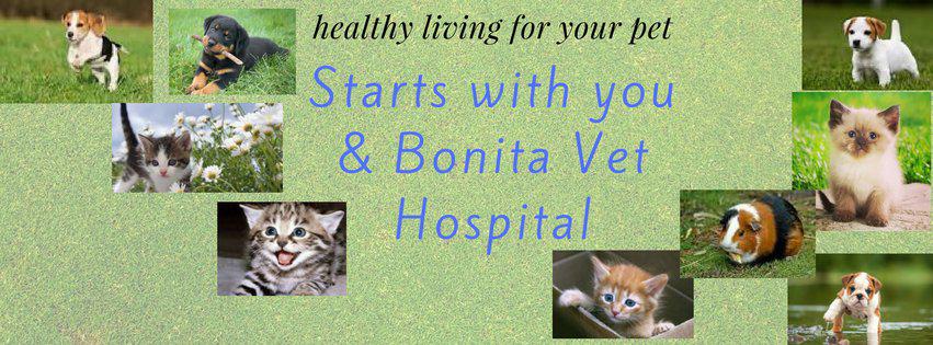 Bonita Veterinary Hospital Photo