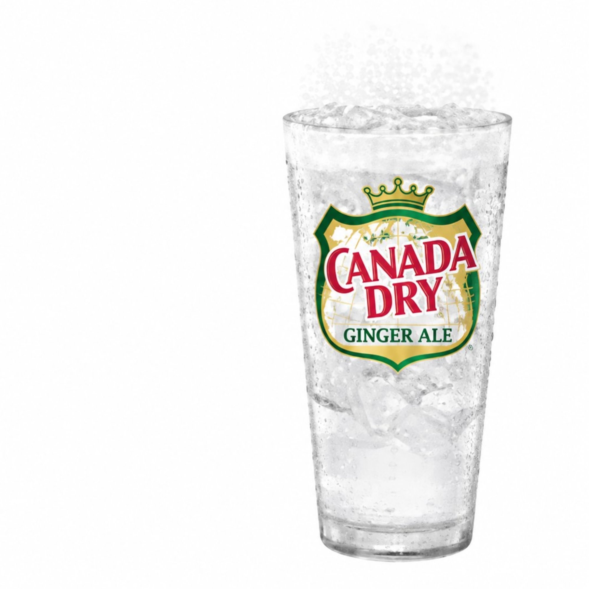 Canada Dry Ginger Ale