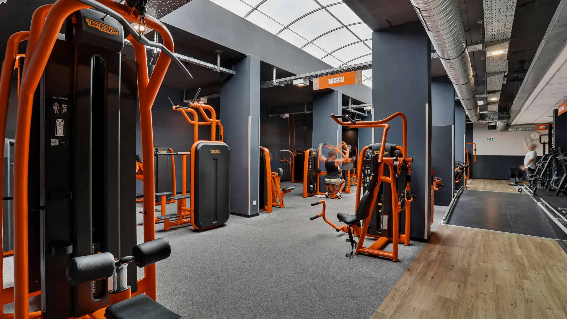 Miniature de la galerie