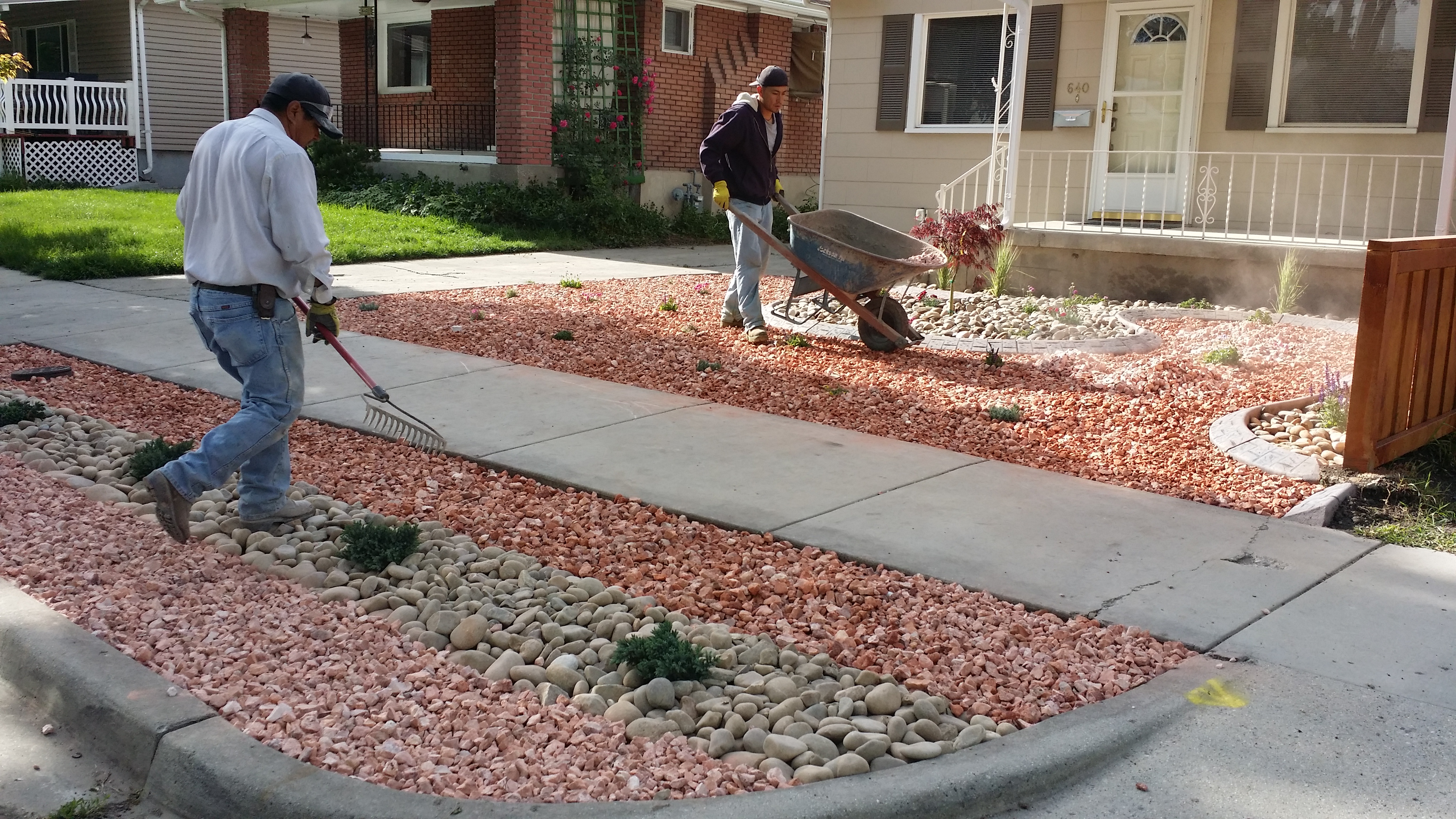 Installed water Wise Plants and Stone