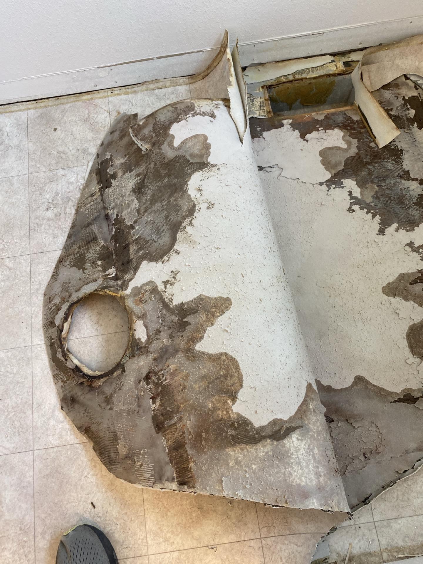 Xtreme Restoration & Carpet Cleaning Image