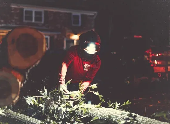 Grant Brothers Tree Service Image