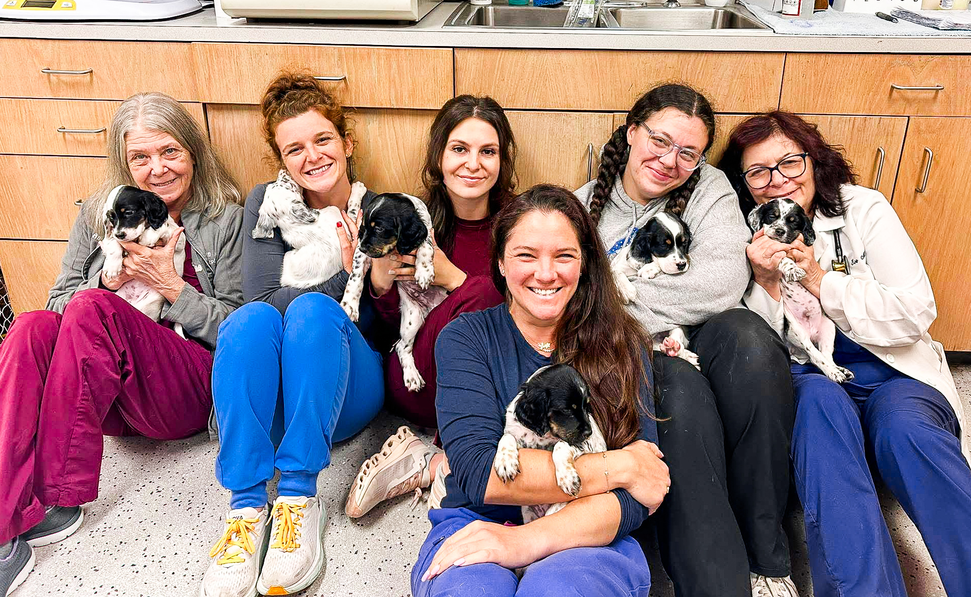 Floral Parkway Animal Hospital