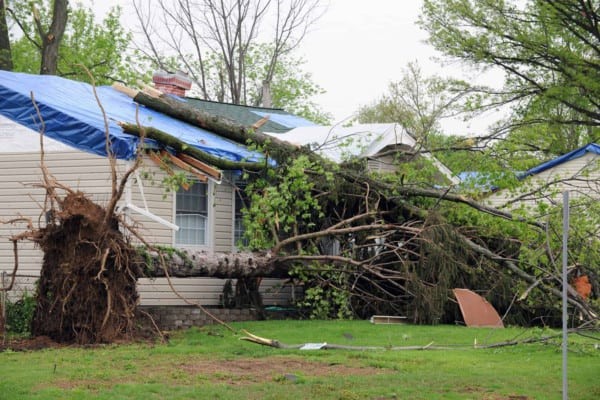 Storm Response