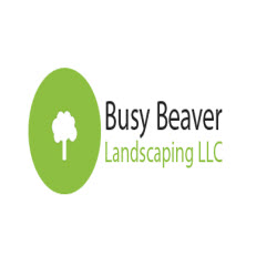 Busy Beaver Landscaping LLC Logo