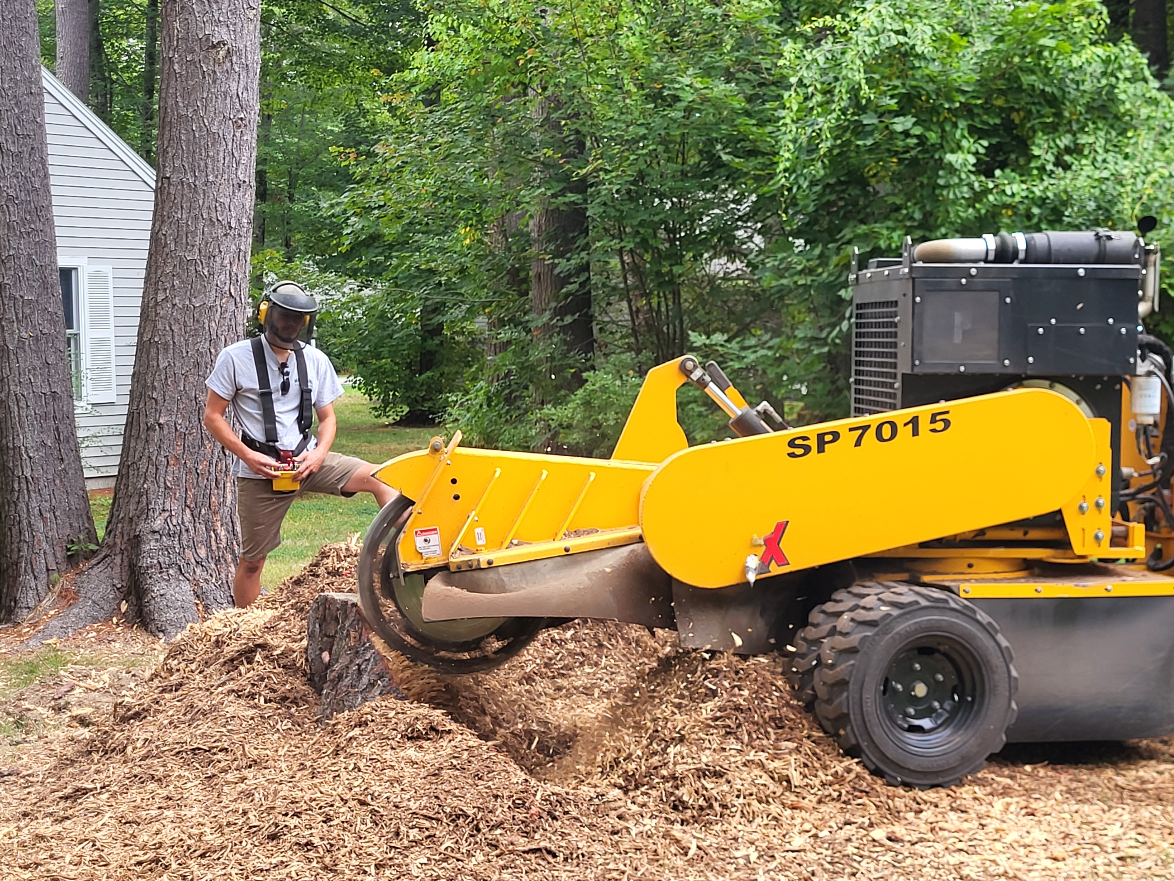 Maineland Stump Grinding Image