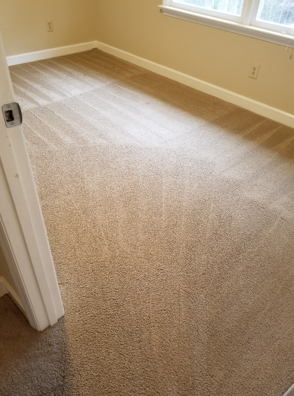 Spotless Clean & Carpet Care Photo