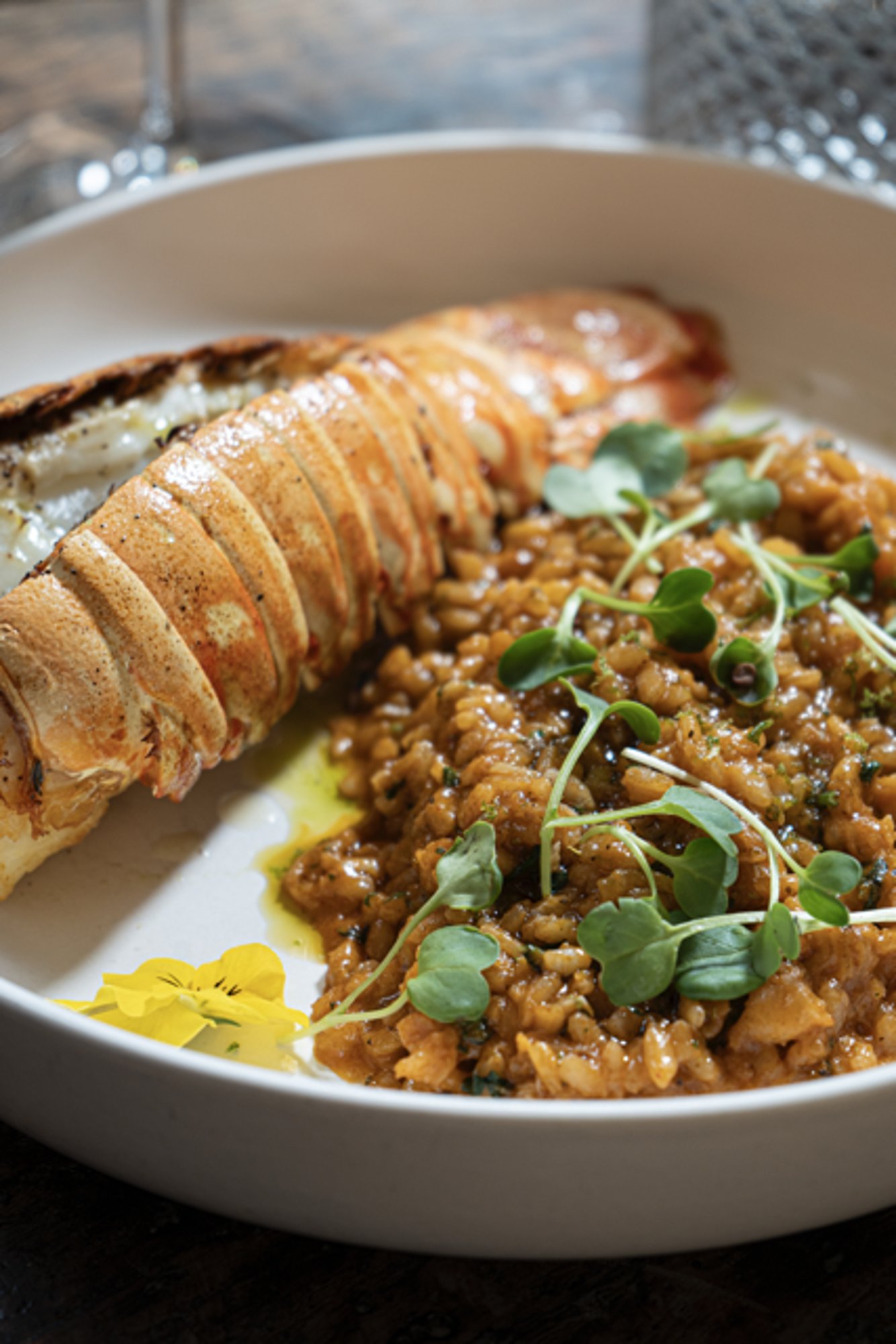 Creamy Lobster Rice