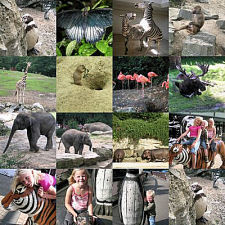 Gallery thumbnail