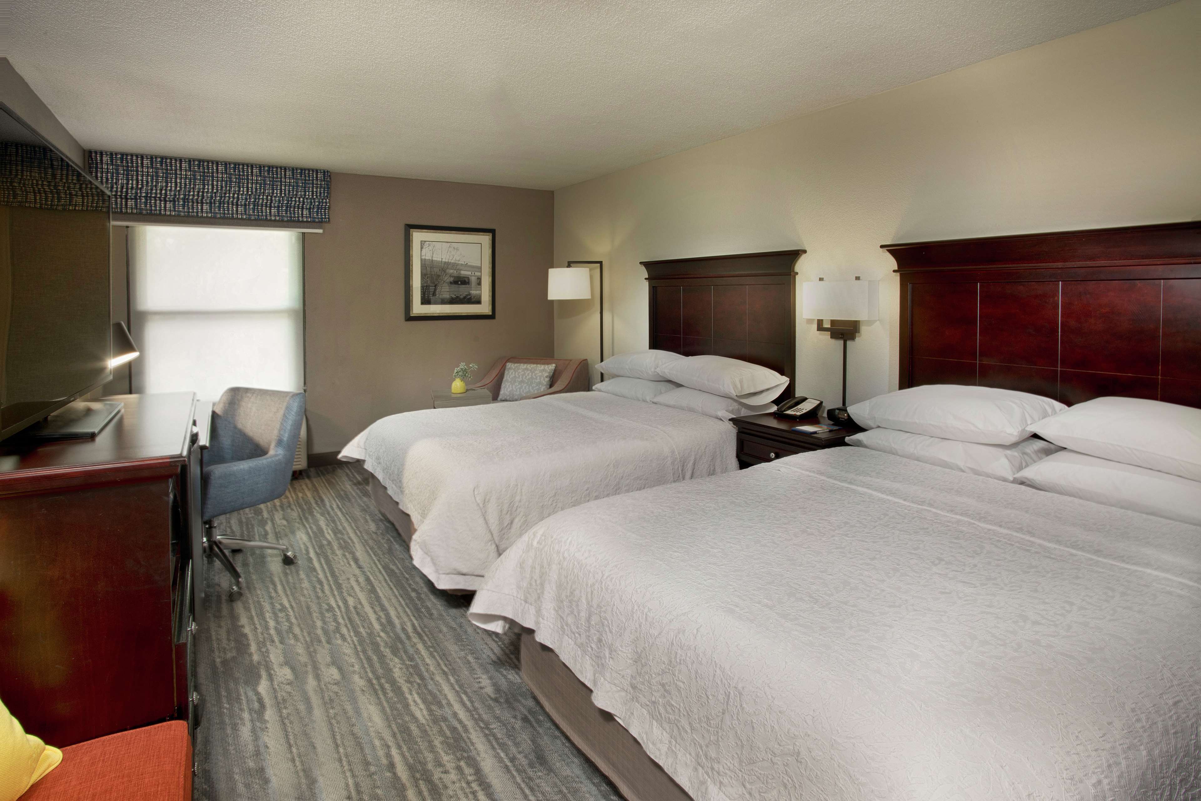 Hampton Inn Memphis/Collierville Photo