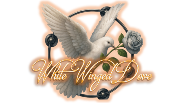 Stevie Nicks Tribute Band Logo