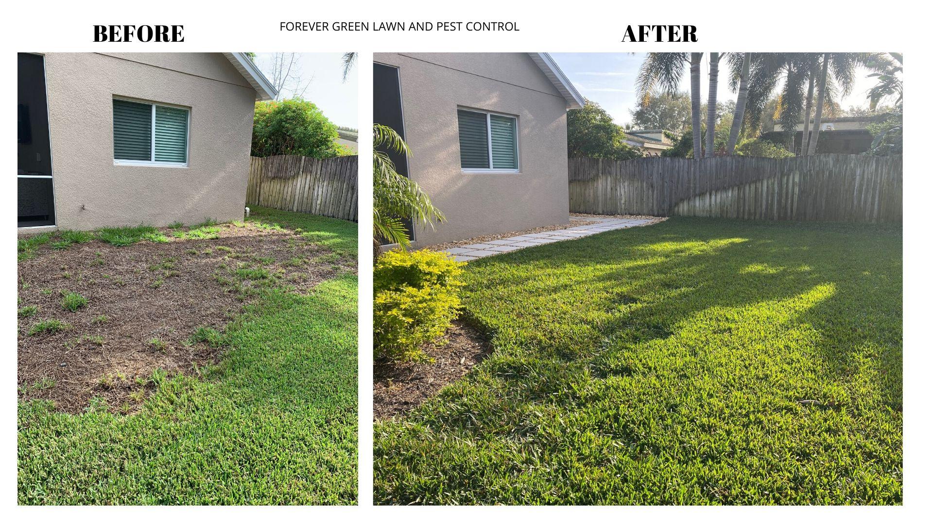 Forever Green Lawn and Pest Control Image