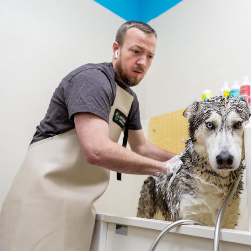 Pet Pantry & Dog Wash - Mesa Ridge