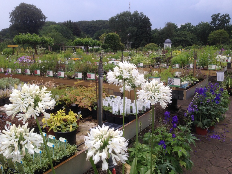 Foto's Abbing Tuincentrum/Tuinaanleg