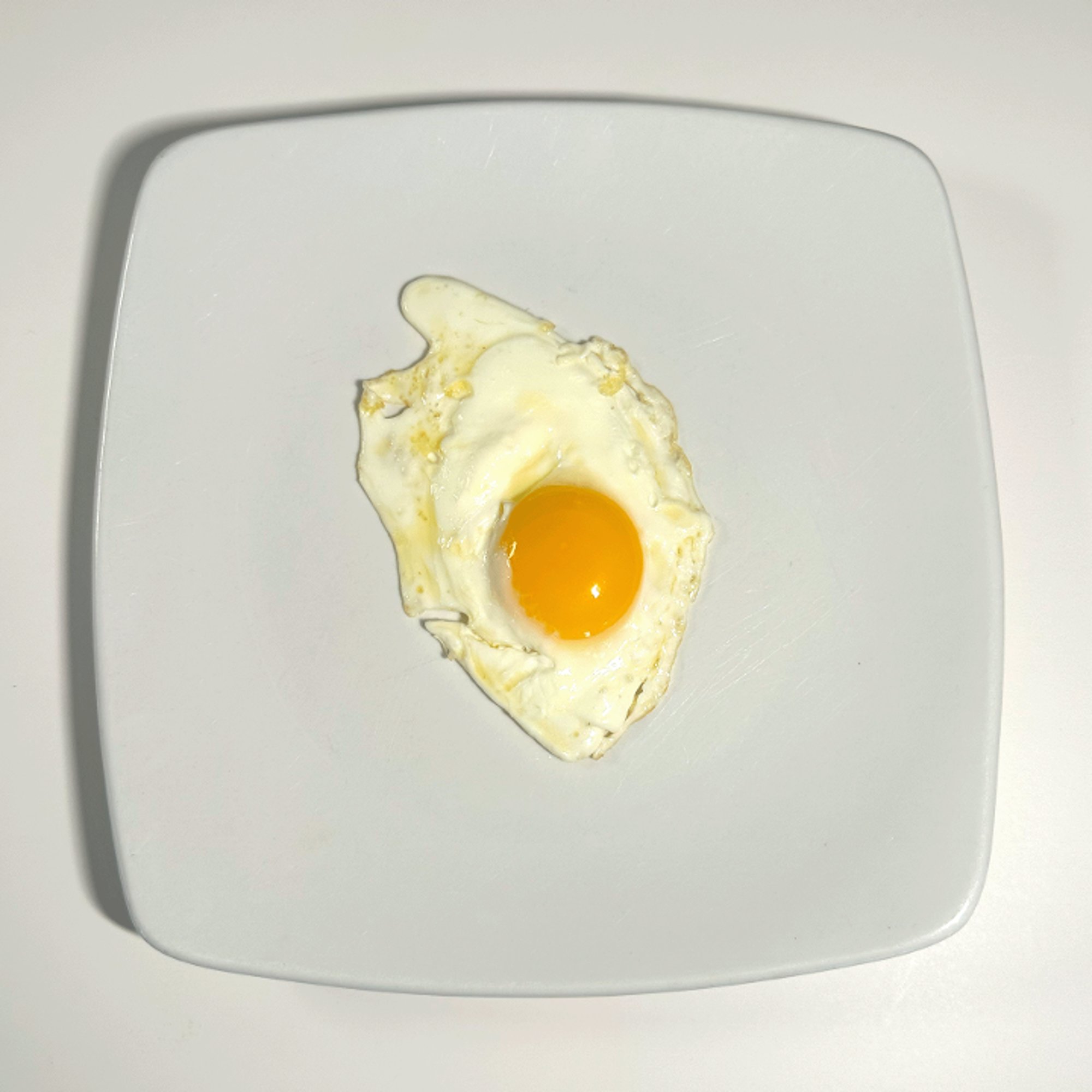 One Egg